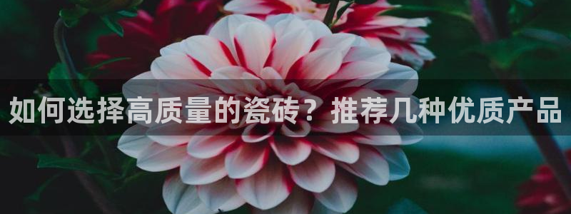 富联娱乐卜67OO6