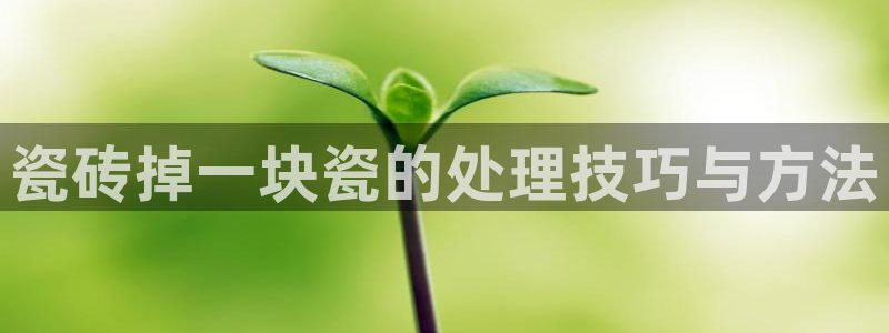 富联娱乐招商监判官333OO