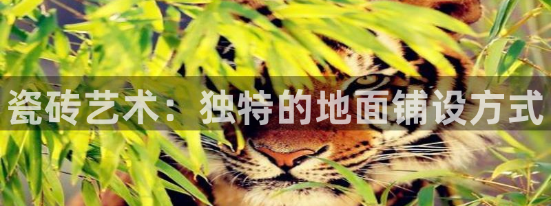 台湾富联娱乐官网